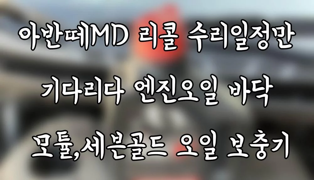 아반떼MD GDI 리콜 보증 수리 일정만 기다리다 엔진오일 바닥 모튤,세븐골드 합성유 보충기