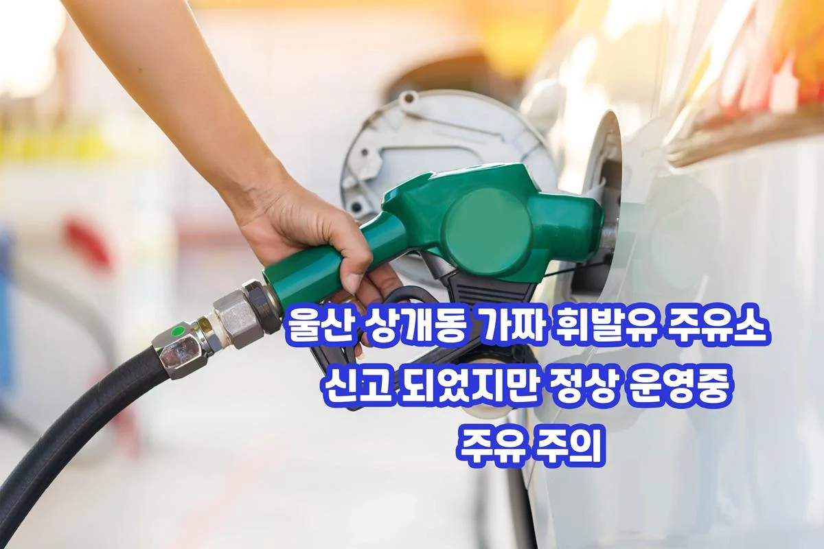 울산 상개동 가짜 휘발유 주유소 신고 되었지만 정상 운영중 주유 주의