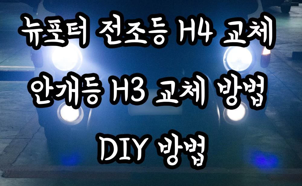 뉴포터 전조등 H4 교체 안개등 H3 교체 방법 DIY 방법