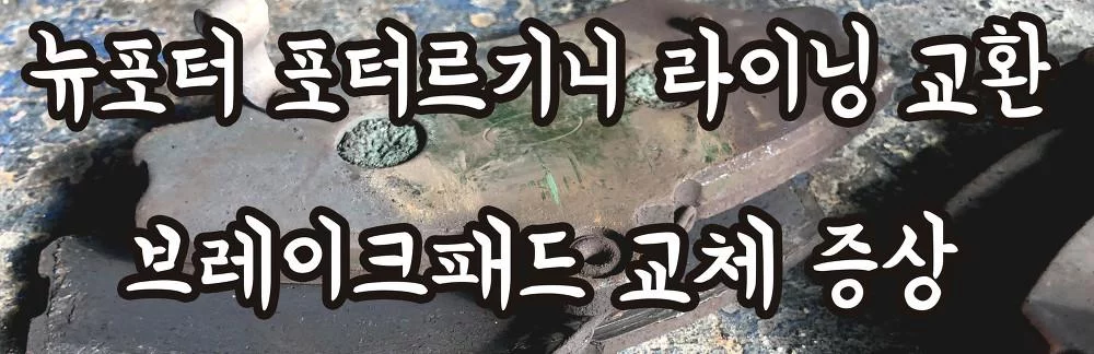 뉴포터 라이닝 교환 브레이크패드 교체 시기 증상 모비스정품 카포스