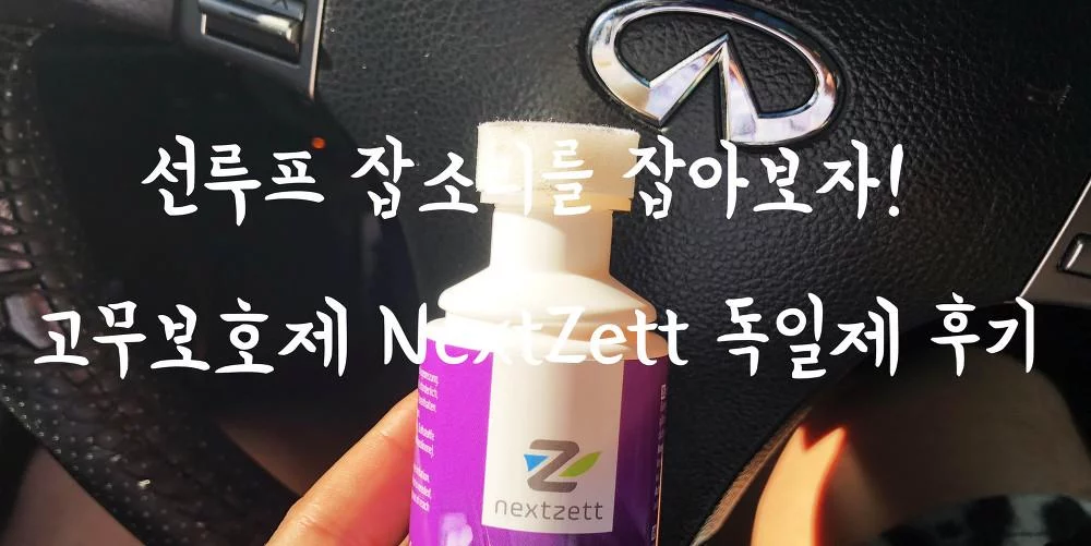 선루프 잡소리를 잡아보자! 고무보호제 NextZett 독일제 후기