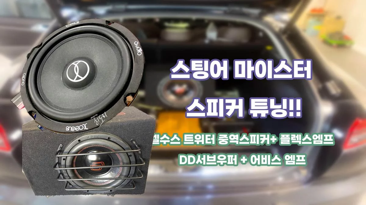 스팅어 마이스터 카오디오 튜닝! 셀수스 XPZ6.2 플렉스엠프 DD서브우퍼 어비스 엠프