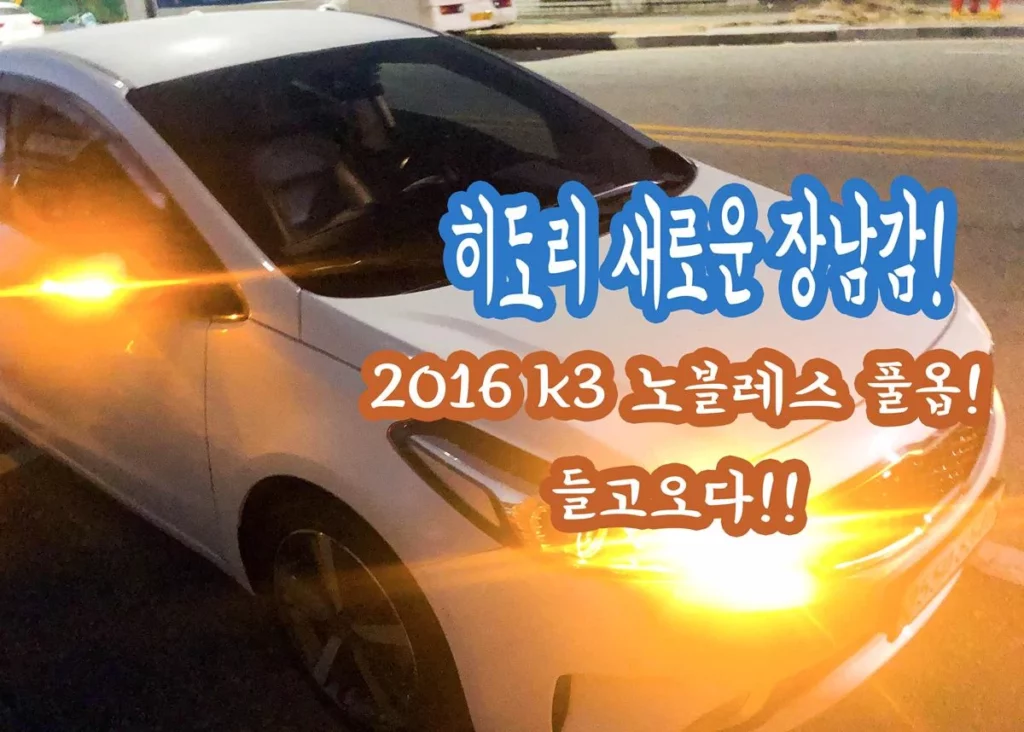 히도리 2016 k3 노블레스 풀옵션! 입양기~