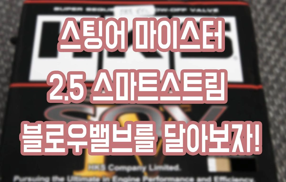 스팅어 마이스터 – 2.5 스마트스트림 HKS 슈퍼SQV 블로우밸브를 달아보자!